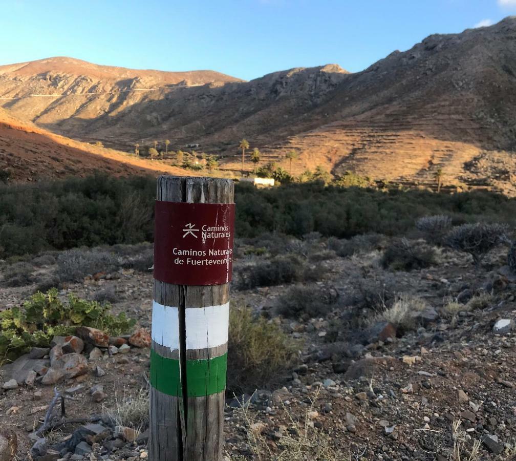 شقة Casa Cactus Pájara المظهر الخارجي الصورة